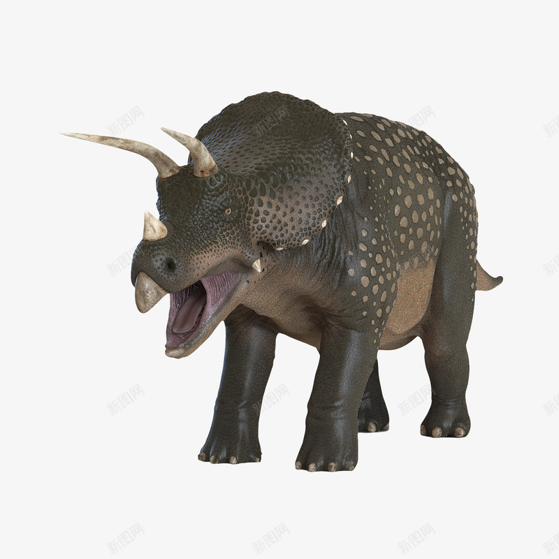 三角恐龙png免抠素材_88icon https://88icon.com 3D恐龙 三角恐龙 动物 咆哮3D恐龙 恐龙 食肉动物