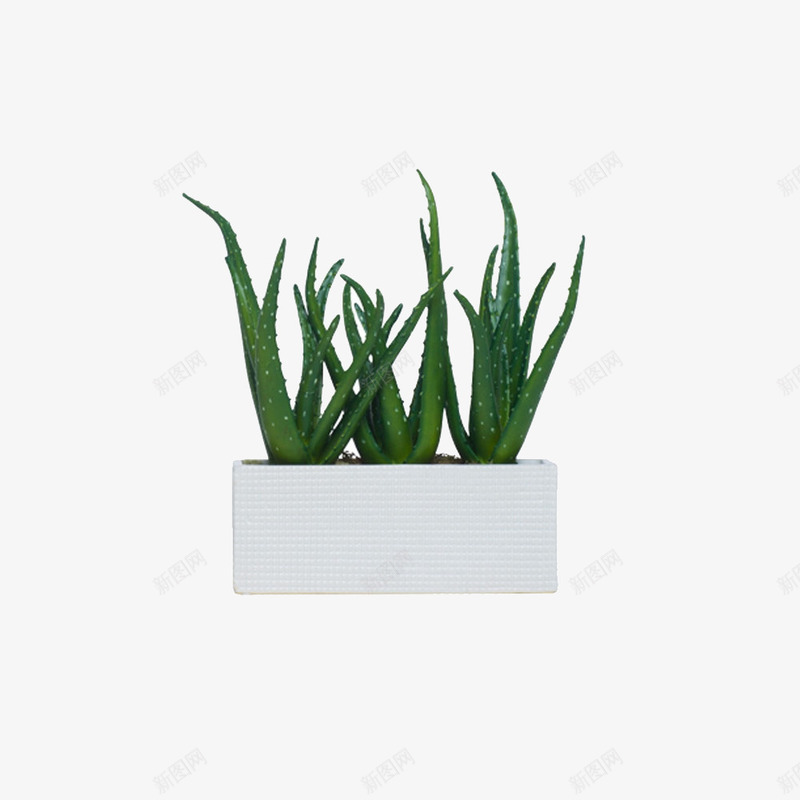 欧美流行软装配饰艺术插花花艺png免抠素材_88icon https://88icon.com 大气 概念方案装饰 欧美流行软装配饰 精美 精致 美化艺术 艺术插花花艺 艺术绿植物花卉立体造型免费下载 软装 软装设计 软装设计方案素材 软装配饰 高品质 高精度 高质量