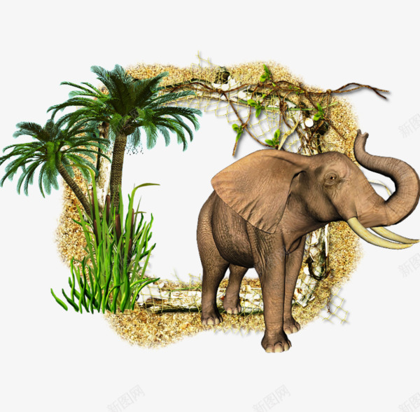 3D大象相框png免抠素材_88icon https://88icon.com 3D相框 椰子树相框 立体相框 非洲大象相框