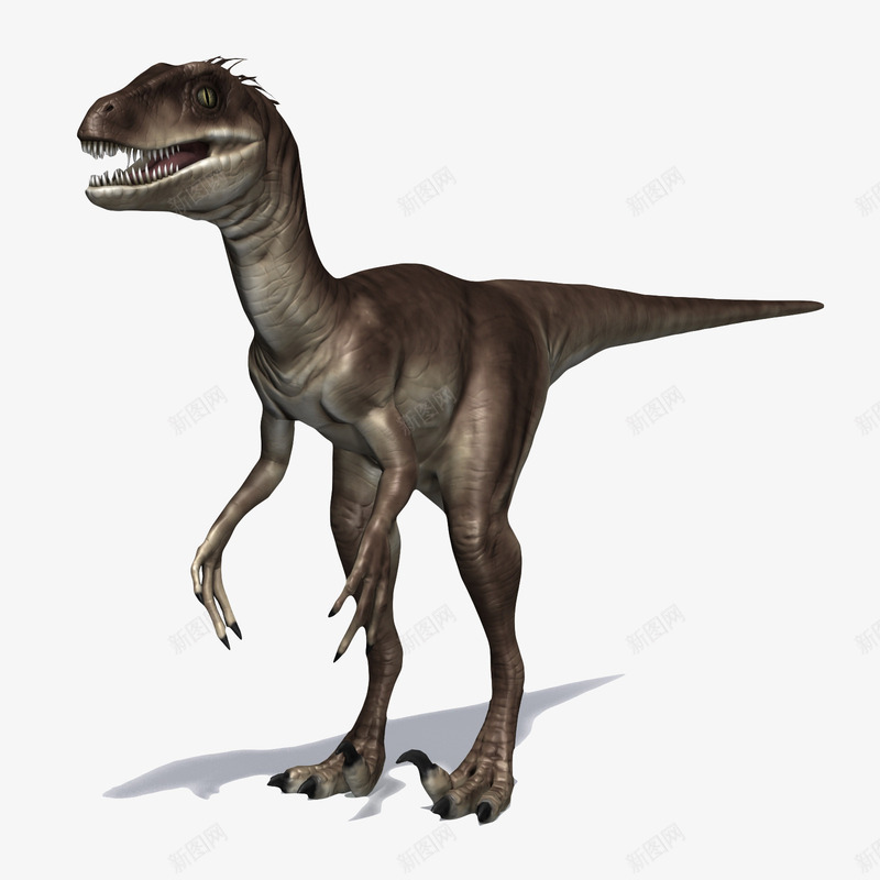 尖齿利爪3D恐龙png免抠素材_88icon https://88icon.com 动物 恐龙 肉食动物 长脖子恐龙