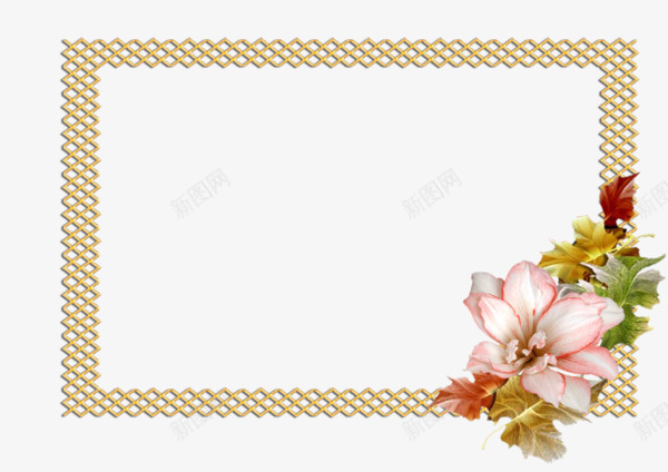 卡通格子相框花朵装饰png免抠素材_88icon https://88icon.com 卡通手绘 格子相框 相框边框 花朵装饰