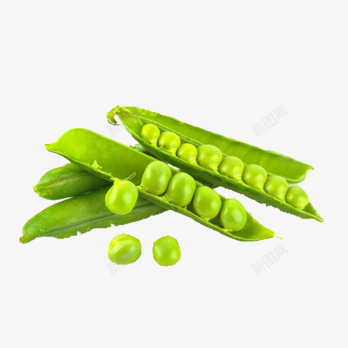 扁豆png免抠素材_88icon https://88icon.com 天然 绿色 营养 豆子