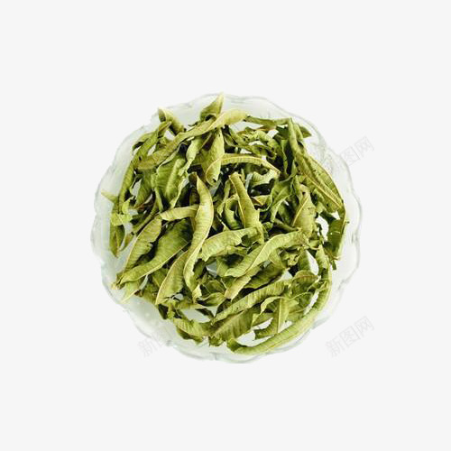 马鞭草特写png免抠素材_88icon https://88icon.com 免费下载 实物 干货 绿色 草药 香料 马鞭草 马鞭草特写