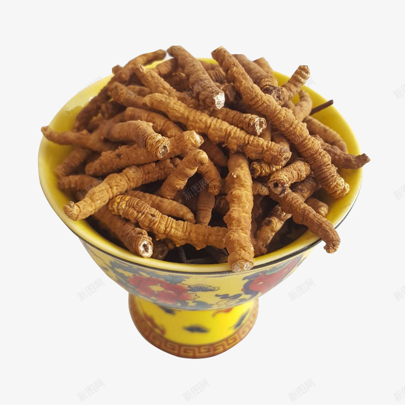 中药药材冬虫夏草断草png免抠素材_88icon https://88icon.com 中华人民共和国西藏自治区 中国西藏 中药 中药材 产品实物 新草 纯天然 虫草 西藏那曲 道地虫草 野生