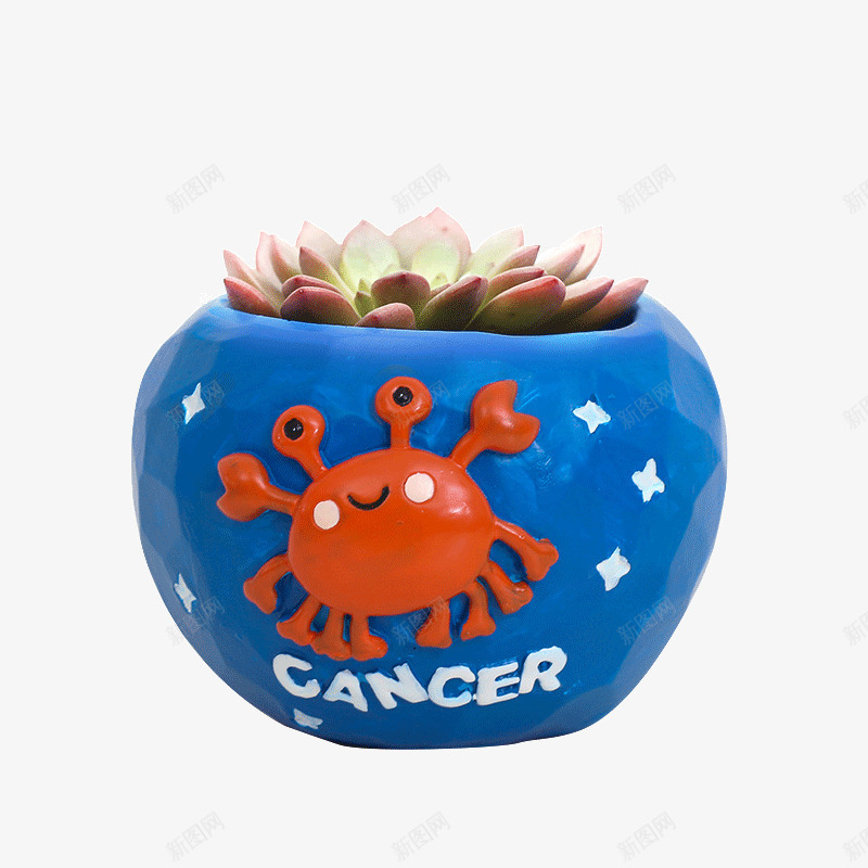 创意花盆摆件png免抠素材_88icon https://88icon.com 个性摆件 可爱摆件 桌面装饰 生日礼物