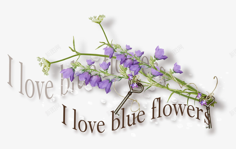 英文花卉png免抠素材_88icon https://88icon.com PNG 免抠 手绘风 甜美系列 花朵 边框 边角