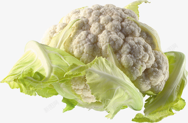 天然蔬菜菜花透明png免抠素材_88icon https://88icon.com 天然 菜花 蔬菜 透明
