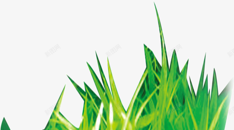 彩绘草丛png免抠素材_88icon https://88icon.com 小草 彩绘 草丛