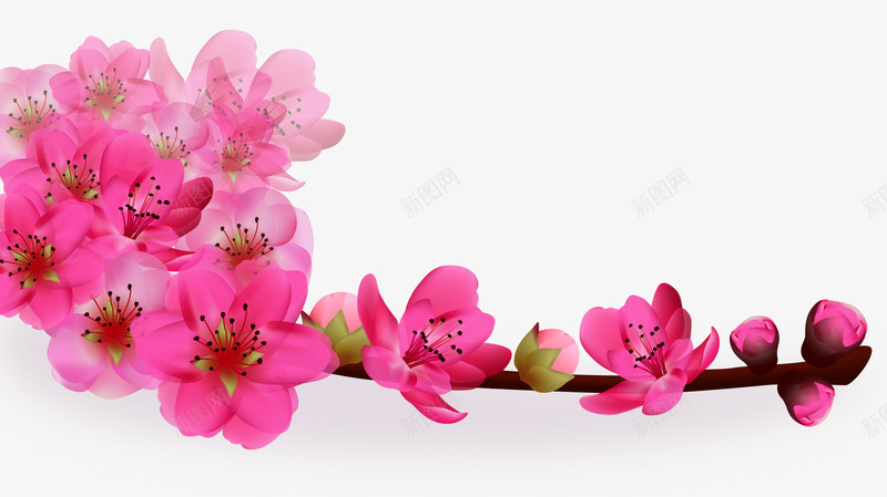 桃花边角装饰矢量图ai免抠素材_88icon https://88icon.com 桃花 花朵 装饰 边角 矢量图