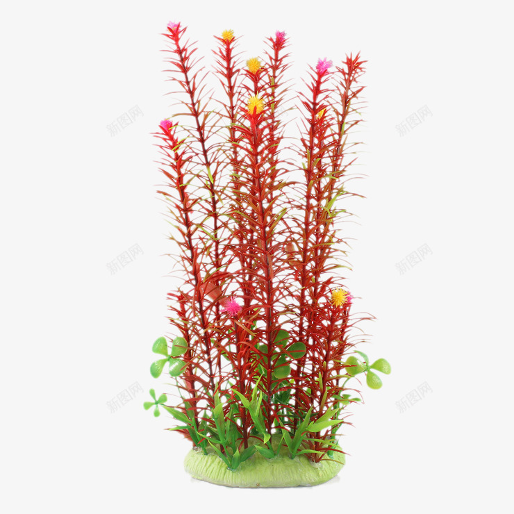 鱼缸假水草塑料水族水草png免抠素材_88icon https://88icon.com 产品实物 红色细多叶 高仿真水草 鱼缸假水草塑料水族水草 鱼缸装饰造景