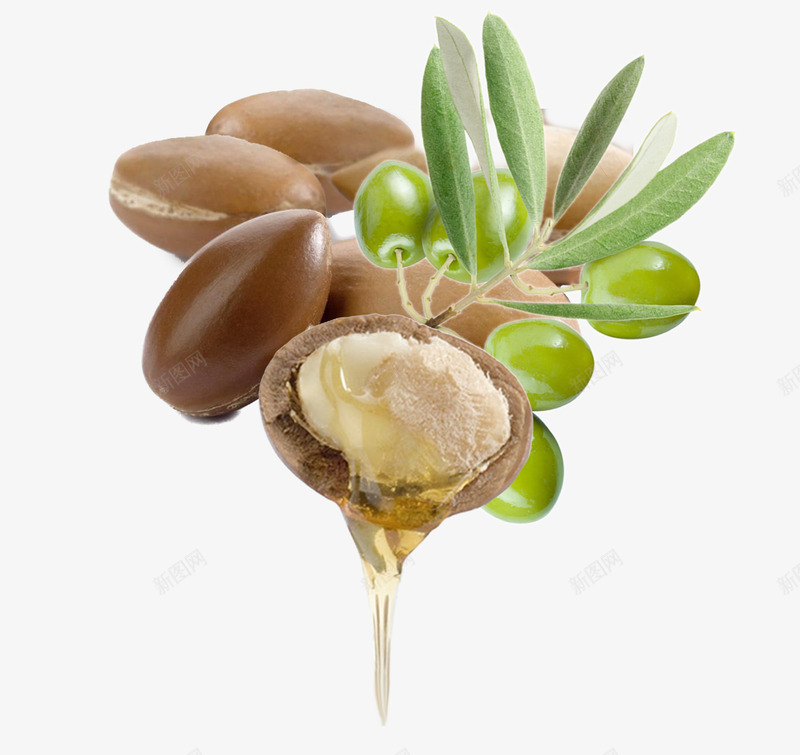 橄榄油png免抠素材_88icon https://88icon.com 天然 果实 橄榄 橄榄油