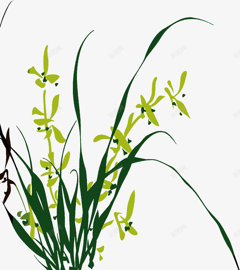 盛开的兰花png免抠素材_88icon https://88icon.com 兰花 盛开 花卉