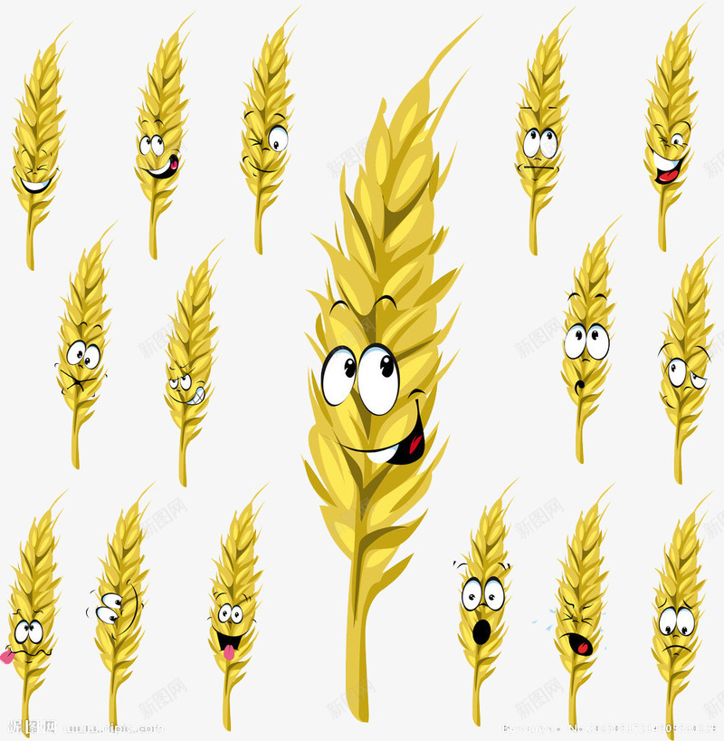 麦苗png免抠素材_88icon https://88icon.com 金色麦苗 麦穗 麦苗