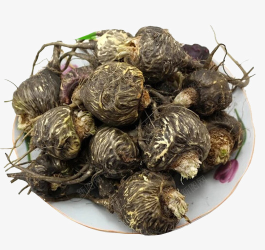 新鲜果实png免抠素材_88icon https://88icon.com 价格昂贵 天然晒干 效果好 顶级药材 黑玛咖