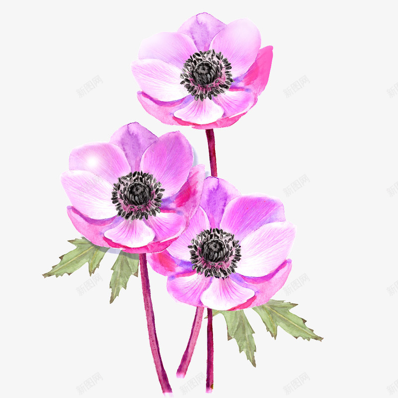 粉色杜鹃花png免抠素材_88icon https://88icon.com 卡通杜鹃花 盛开 粉色 绿叶 花瓣