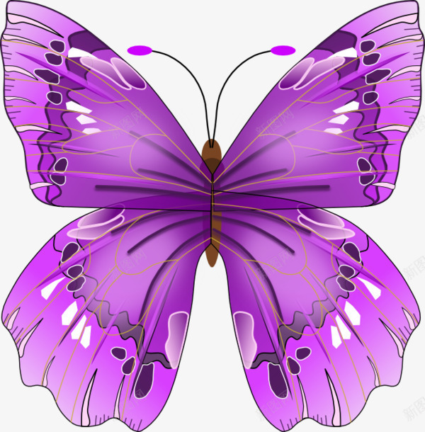 紫色神秘手绘蝴蝶png免抠素材_88icon https://88icon.com 神秘 紫色神秘 紫色蝴蝶 蝴蝶 蝴蝶紫色