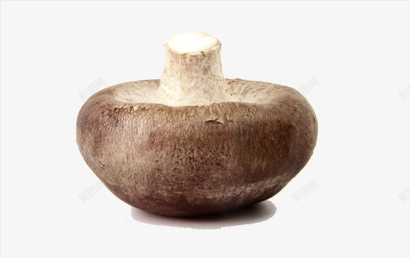 鲜香菇特写png免抠素材_88icon https://88icon.com 实物 小香菇 摄影 生物世界 菇 蔬菜 蘑菇 香菇 香菇青菜 鲜香菇特写