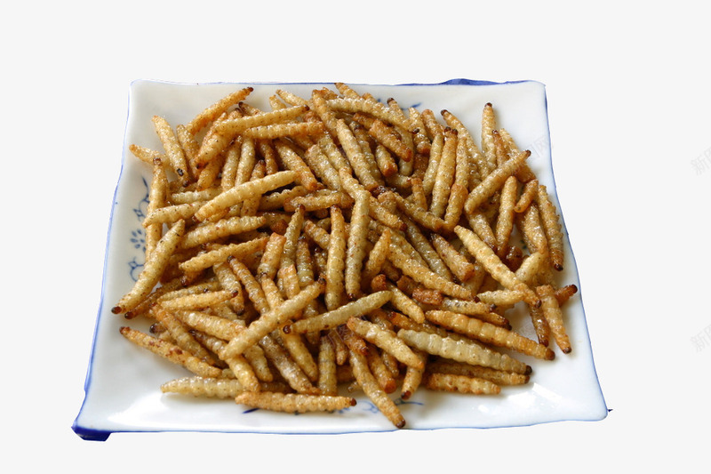 特色油炸竹虫png免抠素材_88icon https://88icon.com 传统美食 油炸竹虫 菜肴菜品 餐饮美食