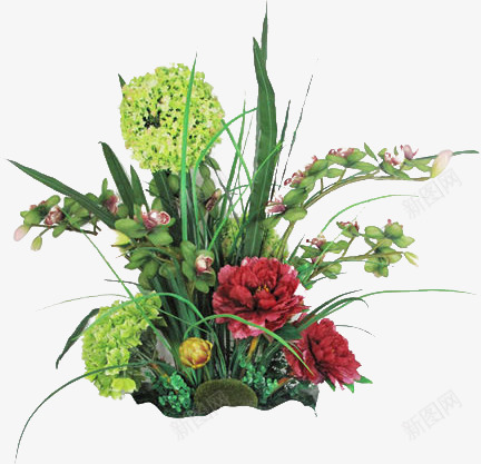 手绘插画植物草丛png免抠素材_88icon https://88icon.com 插画 植物 草丛