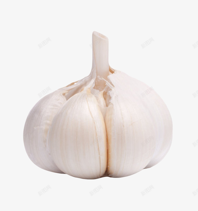 白色健康佐料大蒜头实物png免抠素材_88icon https://88icon.com 佐料 免扣 免费下载 大蒜粒 有机 生态 白蒜头 调料
