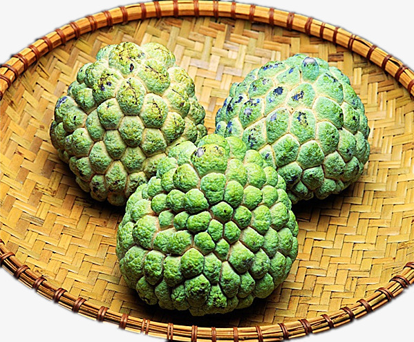 青色番荔枝png免抠素材_88icon https://88icon.com 产品实物 美味 青色 颗粒大