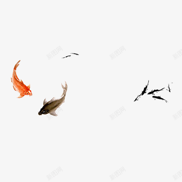 手绘中国风鲤鱼png免抠素材_88icon https://88icon.com 中国风 手绘 水墨画 鲤鱼
