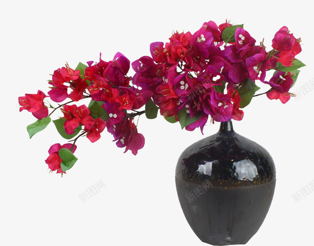 特色花瓶psd免抠素材_88icon https://88icon.com 特色 花 花瓶