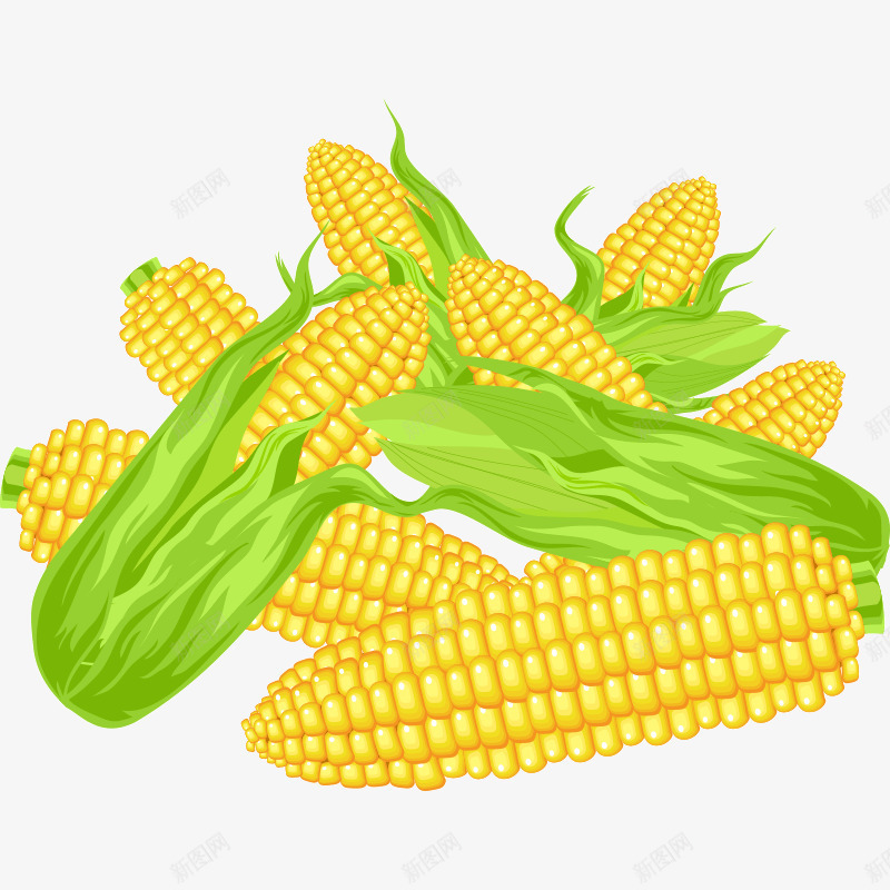 玉米png免抠素材_88icon https://88icon.com 天然 有机 植物 玉米 食品 黄色