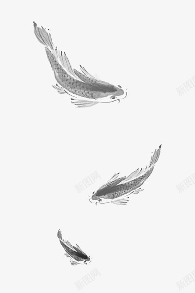 中国水墨风鲤鱼png免抠素材_88icon https://88icon.com 中国风 水墨中国 水墨风 装饰图案 鲤鱼