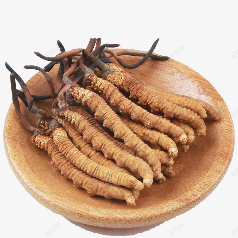 道地虫草药材冬虫夏草png免抠素材_88icon https://88icon.com 中华人民共和国西藏自治区 中国西藏 中药 中药材 产品实物 断草 新草 纯天然 虫草 西藏那曲 野生