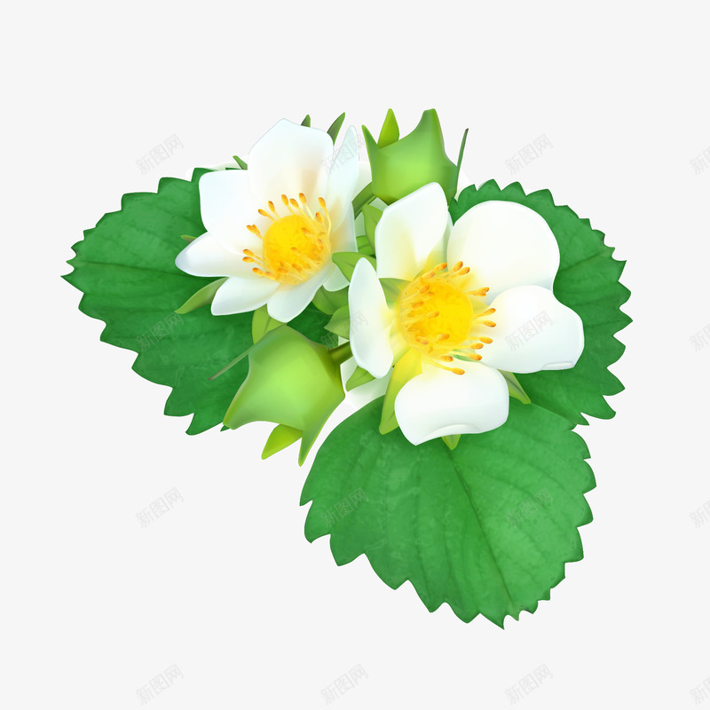 清新薄荷叶花卉矢量图ai免抠素材_88icon https://88icon.com 叶 清新 花卉 薄荷 矢量图