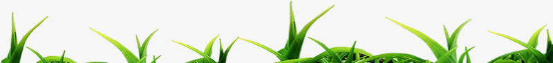 春天郊外草丛装饰png免抠素材_88icon https://88icon.com 春天 草丛 装饰 郊外