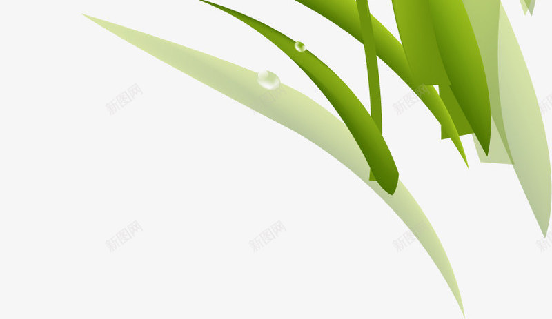 白色纯洁花朵植物卡通png免抠素材_88icon https://88icon.com 卡通 植物 白色 纯洁 花朵