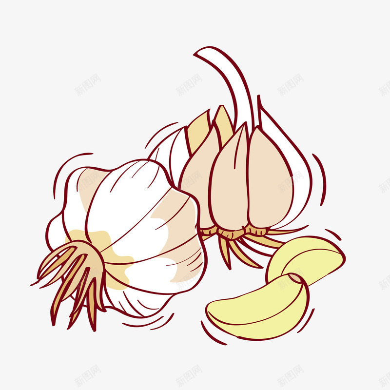 手绘水彩大蒜食物图png免抠素材_88icon https://88icon.com 创意 卡通手绘 大蒜 水彩 蒜头 调味品 食物