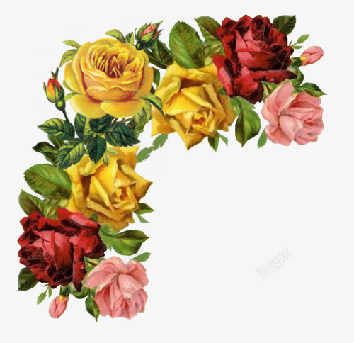 多色玫瑰花边框png免抠素材_88icon https://88icon.com 玫瑰花 花边 边框