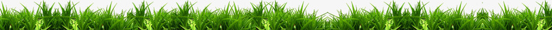 绿色植物草丛效果海报图png免抠素材_88icon https://88icon.com 效果 海报 绿色植物 草丛