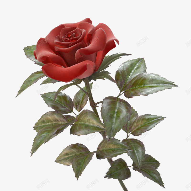 红色带刺花朵单支玫瑰png免抠素材_88icon https://88icon.com 单支 单支玫瑰 带刺花朵 玫瑰 红色带刺花朵单支玫瑰 花朵