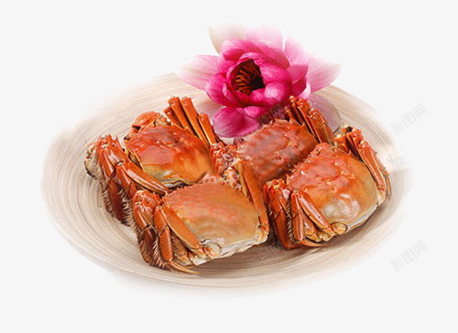 螃蟹png免抠素材_88icon https://88icon.com 娣樺疂澶尗璇儏椤佃 铻冭煿 铻冭煿娴锋姤璁捐