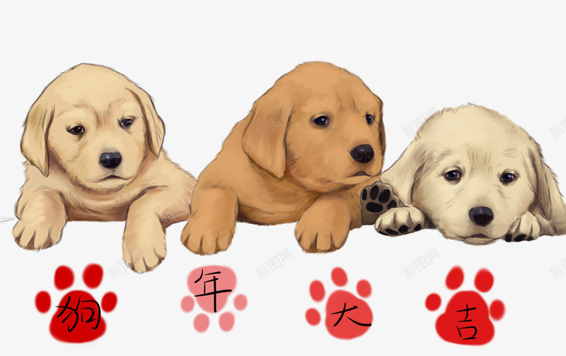手绘装饰插图金毛狗狗年大吉png免抠素材_88icon https://88icon.com 手绘 手绘插画 狗 狗年大吉 装饰插图 金毛