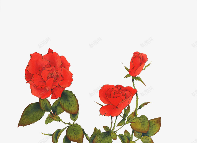 水墨玫瑰花红色花朵png免抠素材_88icon https://88icon.com 水墨 玫瑰花 红色 花朵