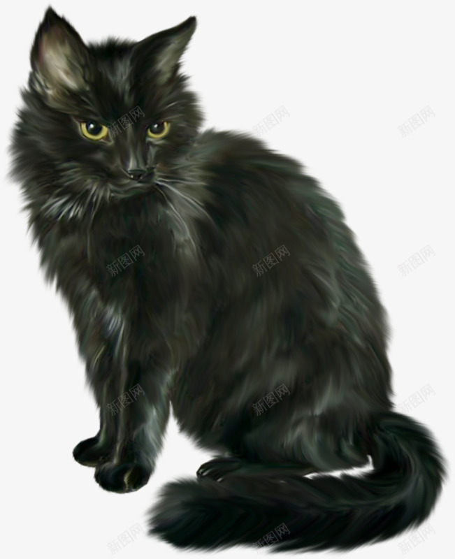 万圣节恐怖黑猫png免抠素材_88icon https://88icon.com 万圣节 动物 恐怖 黑猫