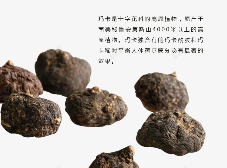 秘鲁黑玛卡简介书png免抠素材_88icon https://88icon.com 秘鲁 简介 素材 黑玛卡