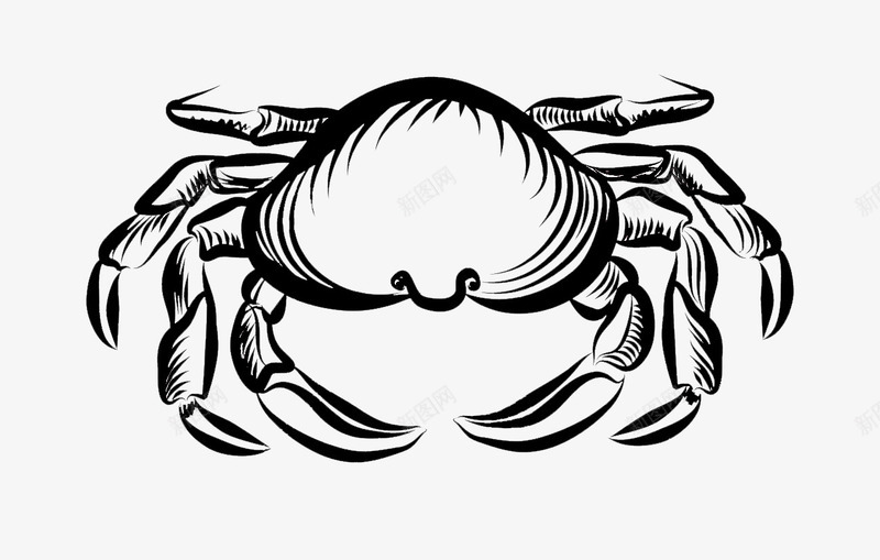 手绘海蟹png免抠素材_88icon https://88icon.com 卡通海蟹 卡通蟹 大海蟹 手绘海蟹 海蟹 螃蟹 蟹
