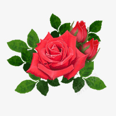 大红玫瑰情人节快乐png免抠素材_88icon https://88icon.com 大红 快乐 情人 玫瑰