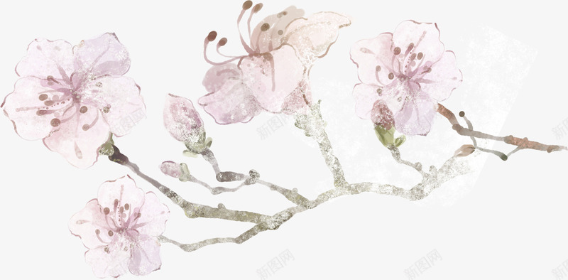 紫色唯美手绘花朵韩式png免抠素材_88icon https://88icon.com 紫色 花朵