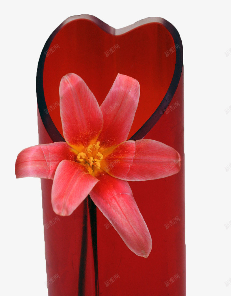 红色花卉摆件png免抠素材_88icon https://88icon.com 台花 摆件 木棉 红色 花卉 花瓶 装饰