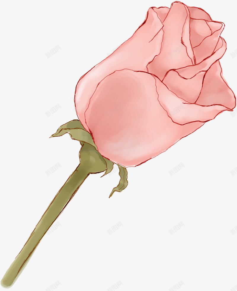 合成粉色的红色玫瑰效果手绘png免抠素材_88icon https://88icon.com 合成 效果 玫瑰 粉色 红色