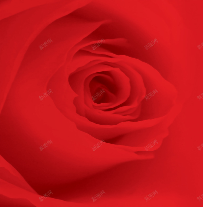 红色绽放唯美玫瑰花png免抠素材_88icon https://88icon.com 玫瑰花 红色 绽放