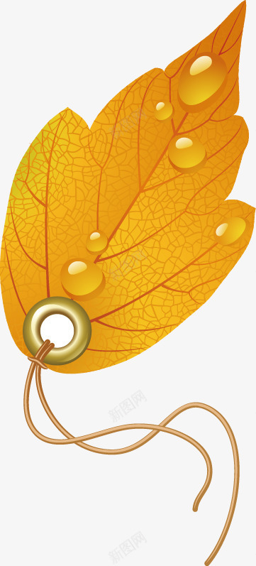 叶子吊牌png免抠素材_88icon https://88icon.com 叶子 吊牌 桔色