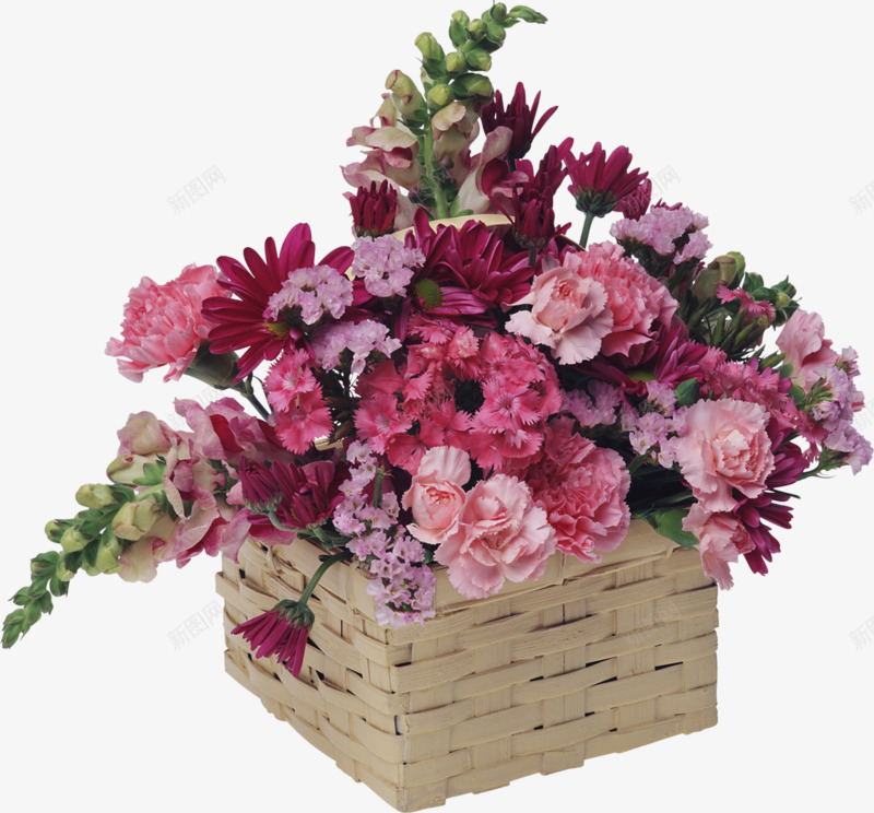 花红色玫瑰花蓝png免抠素材_88icon https://88icon.com 玫瑰花 红色